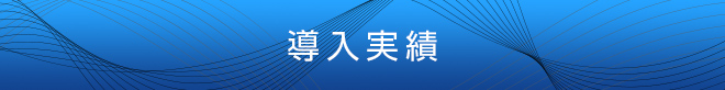 選項